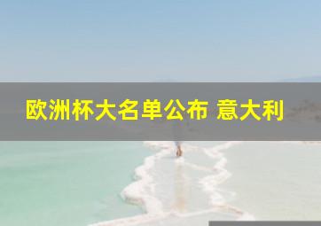 欧洲杯大名单公布 意大利